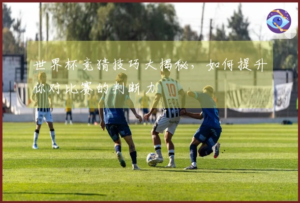 世界杯竞猜技巧大揭秘，如何提升你对比赛的判断力