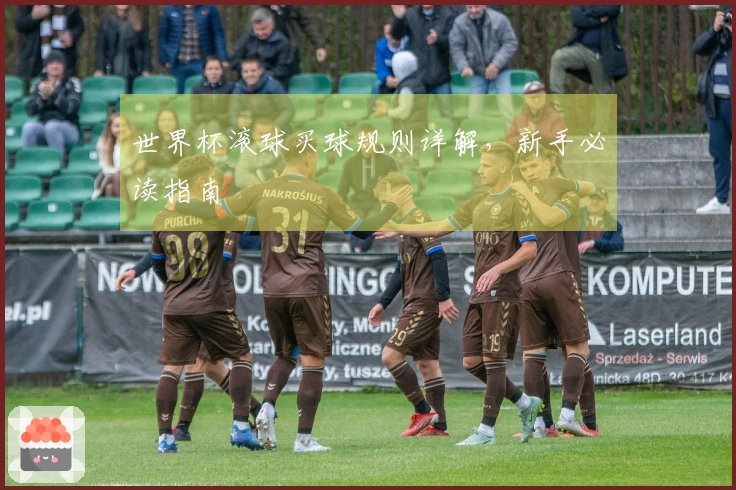 世界杯滚球买球规则详解，新手必读指南