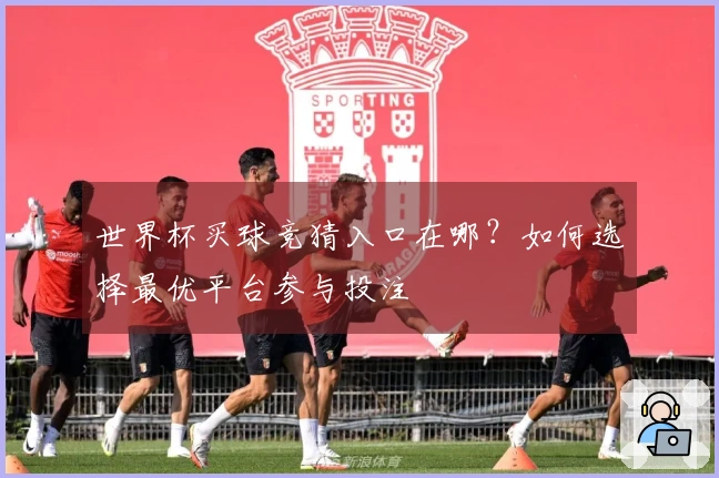 世界杯买球竞猜入口在哪？如何选择最优平台参与投注