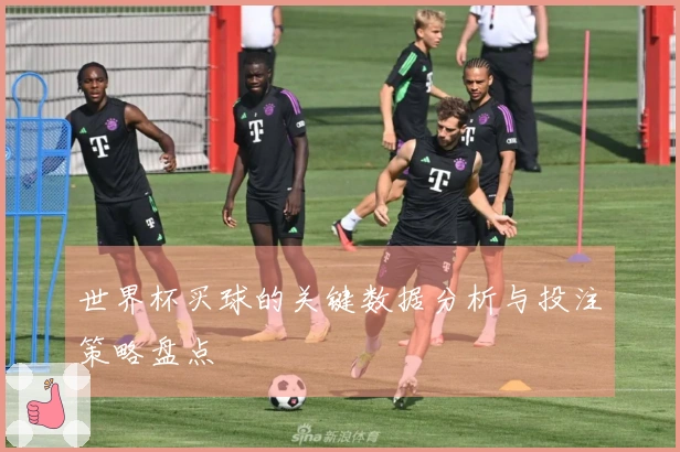 世界杯买球的关键数据分析与投注策略盘点