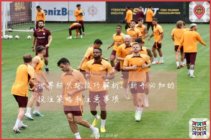 世界杯买球技巧解析：新手必知的投注策略和注意事项