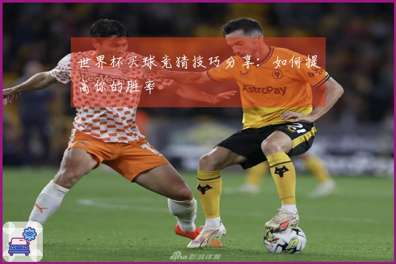 世界杯买球竞猜技巧分享：如何提高你的胜率